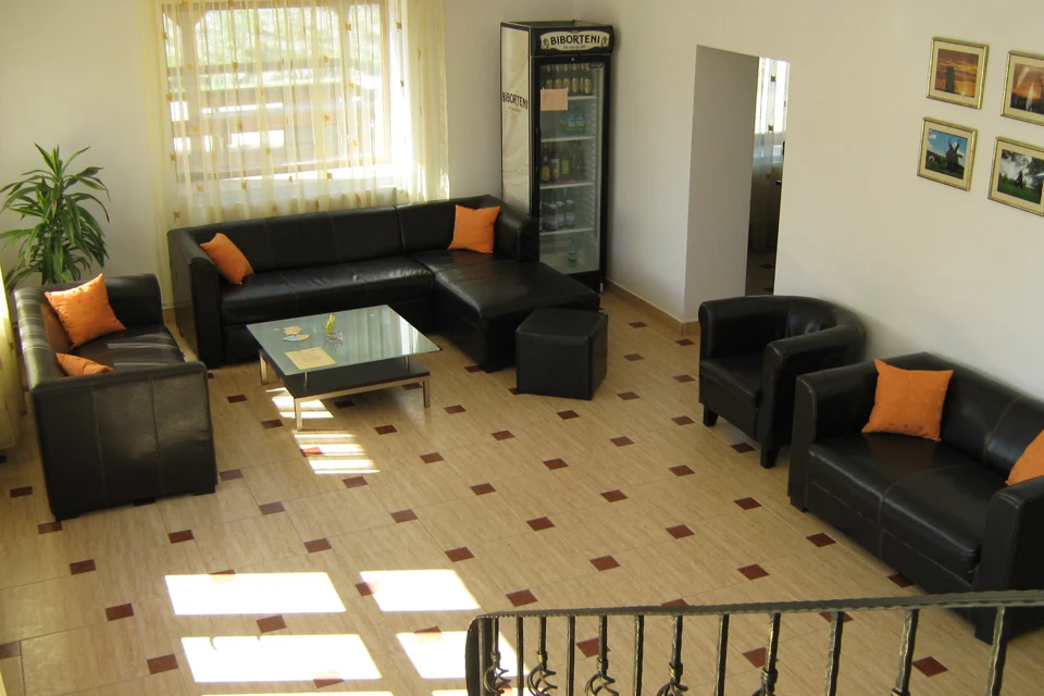 Livingul din Vila 1