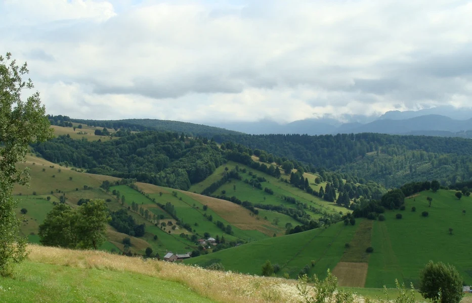 Peisaj verde din galeria împrejurimilor